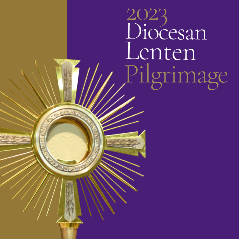 The Lenten Pilgrimage 2023 - DeSales Media